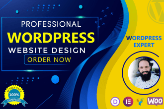 create a professional wordpress website