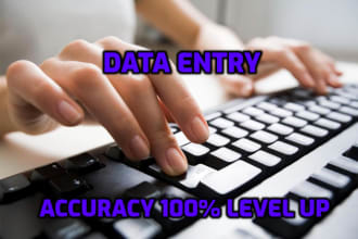 do data entry, typing, convert PDF, ms word, and PPT files