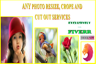do 210 photos resize, crop, cut out images any picture resizing and cropping