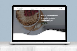create a shopify store or shopify dropshipping store