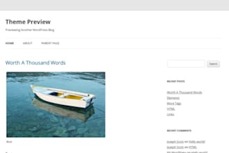 develope professional wordpress website