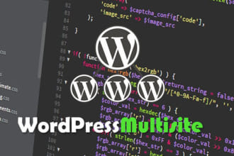 setup wordpress multisite network for you