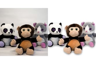 edit photos for amazon and ebay