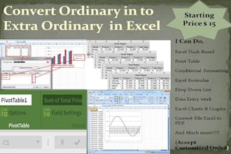 create dashboard, graphs,charts and data analysis in excel