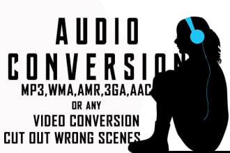 convert audio to mp3,wma and amr or any video conversion