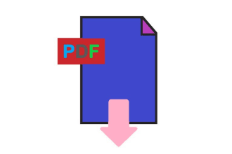 format data professionally for any CSV, PDF etc into excel
