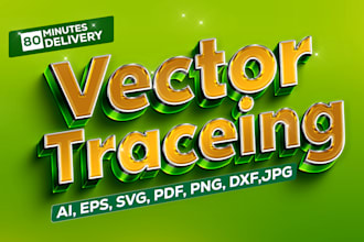 do vector tracing or convert to vector very fast