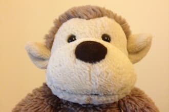 create a 45 second monkey video