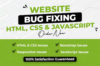 fix any html, css and javascript issues