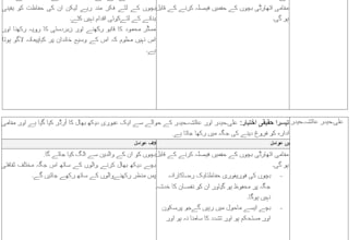 do english to urdu translation of legal documents