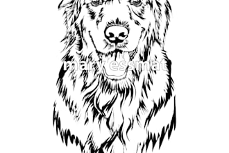 draw a professional vector silhouette on one day
