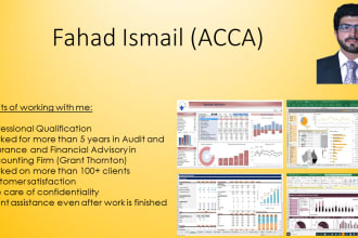 make financial model, business and feasibility plan