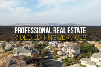 do professional real estate video editing in 24hrs