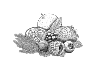 draw digital vintage drawing and hand drawn illustration