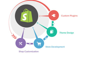 make your starter shopify store to a money making professional store