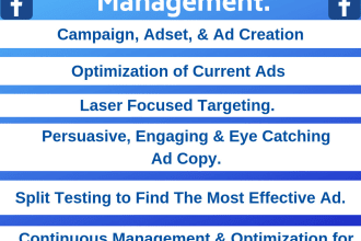 create, optimize, and manage laser targeted fb ad campaigns for you