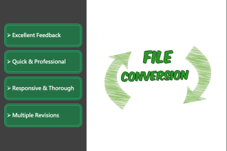 do any file conversion to other file format