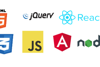 develop web app in react angular nodejs