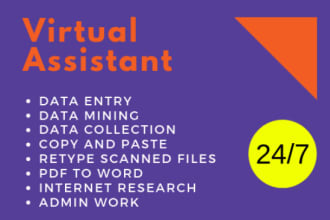 be your virtual assistant for admin work email handling internet search scraping