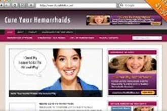 create a niche wordpress blog