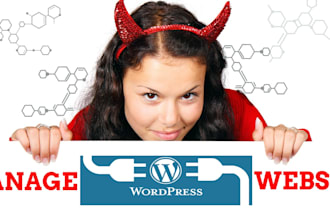 manage wordpress website on weekly or monthly basis