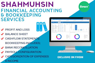 provide bookkeeping for amazon and shopify