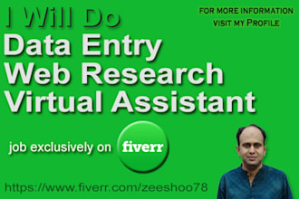 do data entry, excel work, google sheet data