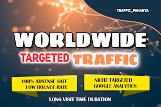 send geo target,niche related,social,organic real visitors