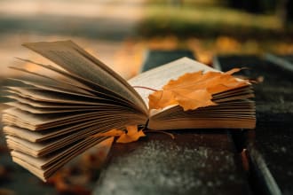proofread romance books contemporary or otherwise