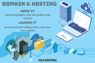 setup and configure domain and hosting for your website