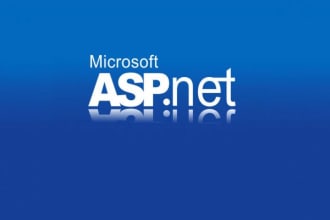 fix, develop and deploy asp dot net core and mvc professional web application