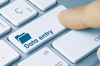 do data entry, copy paste job