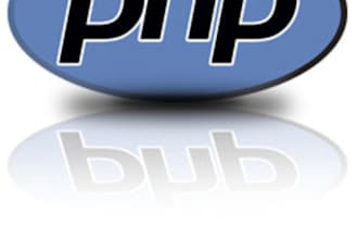write debug document etc your PHP