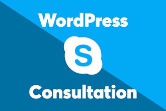 discuss your wordpress or woocommerce project through skype