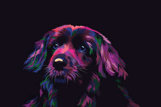 illustrate your pet portrait in pop art  illustration