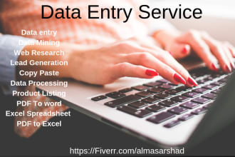 do data entry, excel, copy paste, retype recreate scanned documents