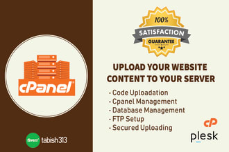 upload your website content