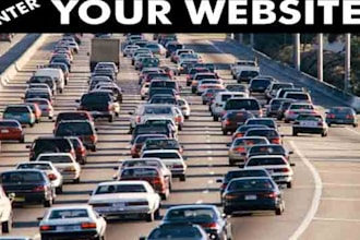 give you 247 ways to get traffic to your website and some bonuses