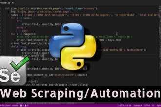 excel in data scraping and web automation with selenium python