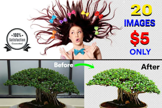 do 100 photos background removal superfast