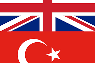 translate english to turkish professionally