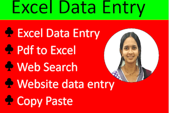 do excel data entry, pdf to excel, copy paste, data scrape