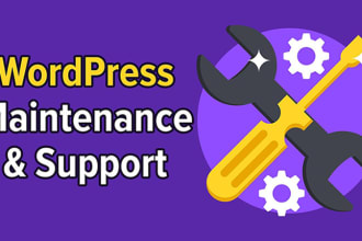 fix wordpress issues, provide bug fixes and website help
