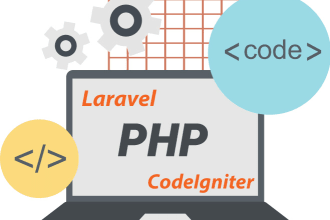 build angular js, vue js, react js or laravel website