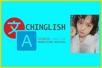 translate anything chinese to english or english to chinese