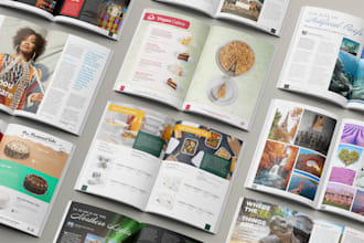 design a high quality brochure, magazine, flyer, catalogue