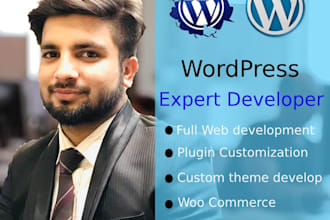 develop wordpress website and plugins