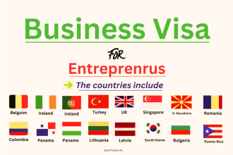 write an entrepreneur business plan for global visa