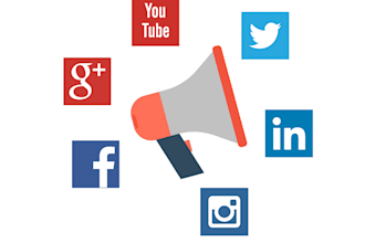 manage paid social ads for global brand growth