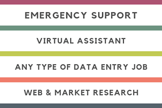 handle your daily or hourly basis work as virtual assistant